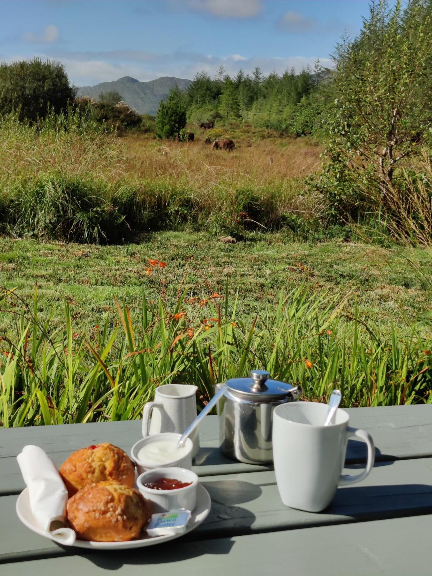 Alaind Lodges, Sneem Exteriér fotografie